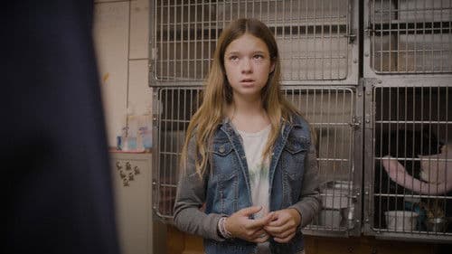 When Cats Fly Bild 2