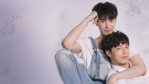 คุณหมีปาฏิหาริย์ Bild 1