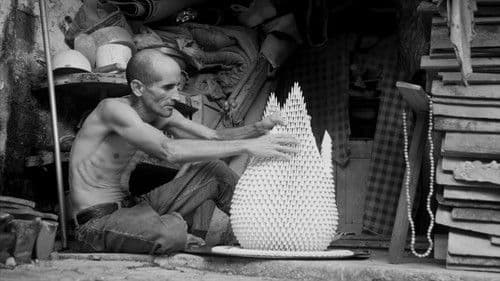 Cisne Cuello Negro, Cuello Blanco Bild 2