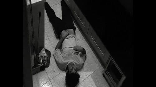 La oliva cuántica Bild 2