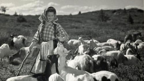 Eli Sjursdotter Bild 1