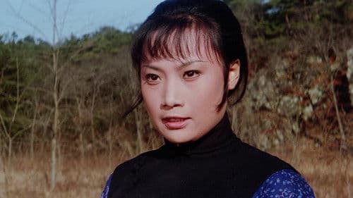 Lady Whirlwind Bild 4