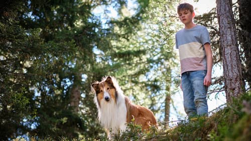 Lassie - Ein neues Abenteuer Bild 1