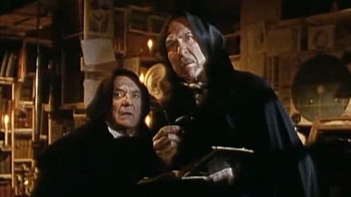 Bouvard et Pécuchet Bild 1