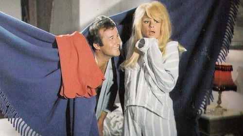 Η Αρχόντισσα κι ο Αλήτης Bild 4