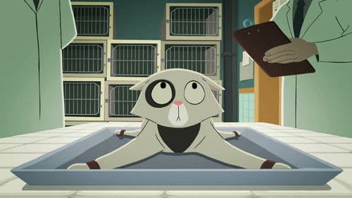 Acoustic Kitty Bild 1