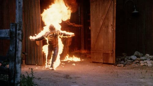 Reise ins Grauen Bild 2