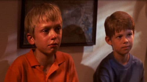 Dog Days of Summer Bild 1