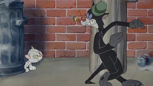 Bad Luck Blackie Bild 2