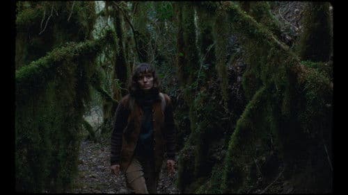 La font de la memòria Bild 1