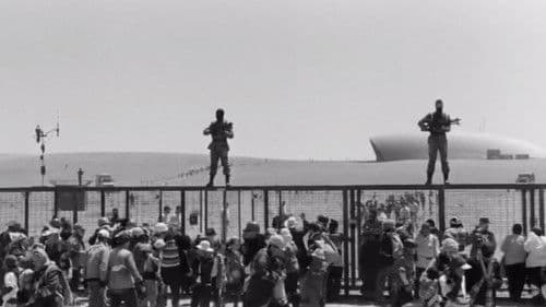 Grain – Weizen Bild 2