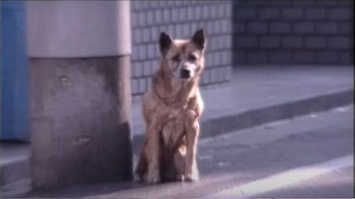 エコエコアザラク Bild 4