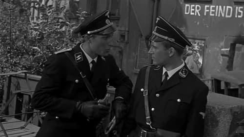 Schild und Schwert Bild 4