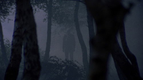 Torso - Die Säge des Teufels Bild 4