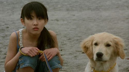 犬と私の10の約束 Bild 2