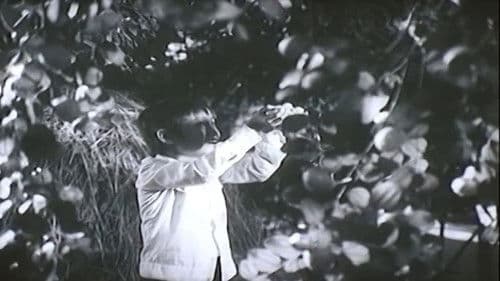 Khi vắng bà Bild 1