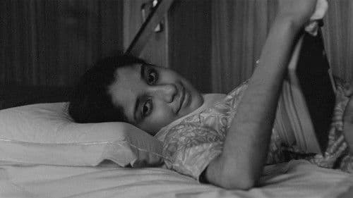 নায়ক Bild 3