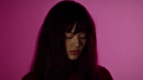 Timides Intentions Bild 1