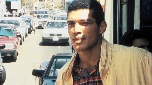 المدينة Bild 1