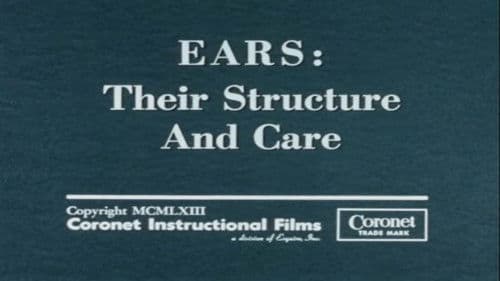 Ears: Their Structure and Care Bild 1