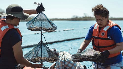 Take Back the Harbor Bild 1