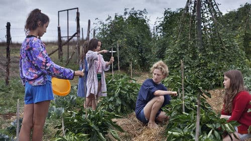 Land der Wunder Bild 8