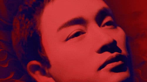 继续宠爱·二十年·音乐会 Bild 1