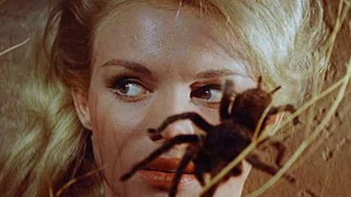 Die Rache der Wikinger Bild 4