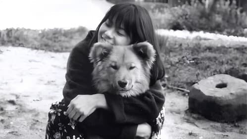 生まれた場所 Bild 8