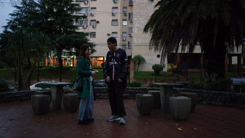 Subastas al Atardecer Bild 1