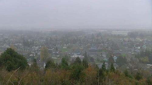 All Apologies: Kurt Cobain 10 Years On Bild 2