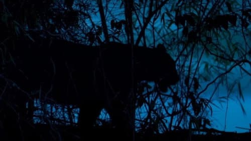 टेरिटरी Bild 1