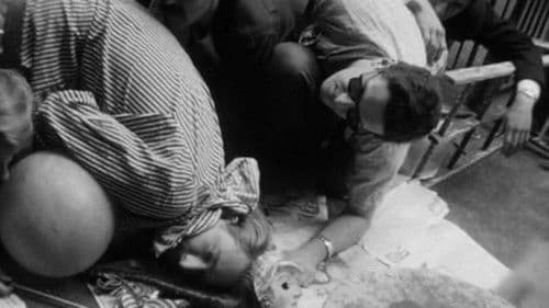 Star Spangled to Death Bild 2