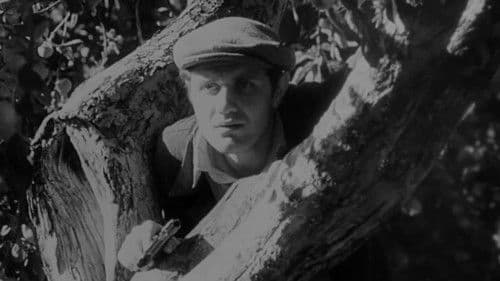 Совість Bild 6