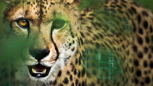 Hacking the Wild Bild 1