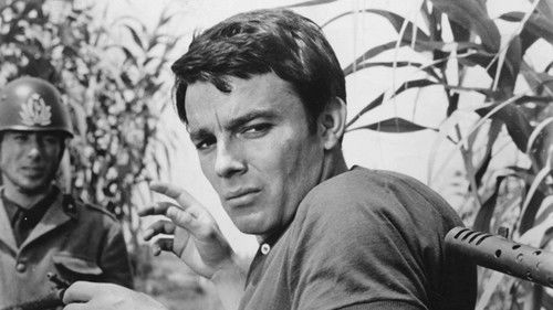 Der Bucklige von Rom Bild 7