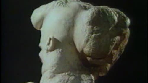 The Skin Horse Bild 1