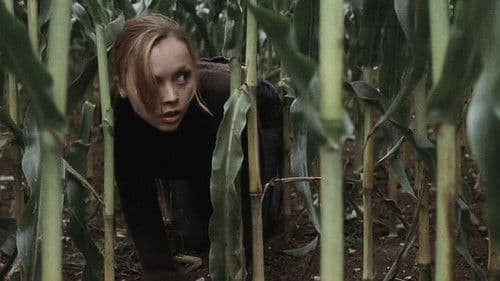 The Gathering Bild 5