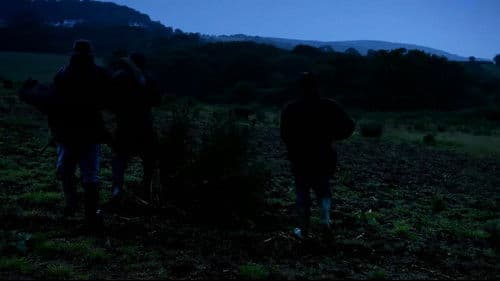 Torn: A Shock Youmentary Bild 3