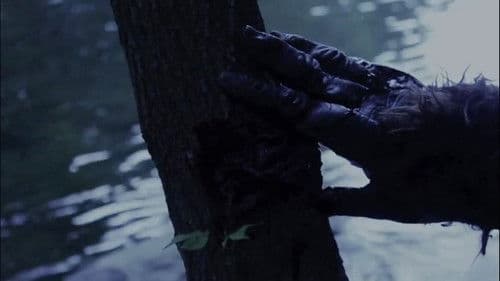 Black Water Creek Bild 1