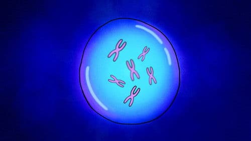 Almost Humans Bild 3