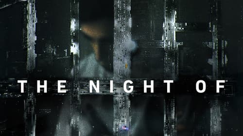 The Night Of - Die Wahrheit einer Nacht Bild 3