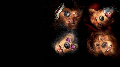 Die Country Bears Bild 4