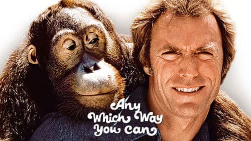 Mit Vollgas nach San Fernando Bild 1