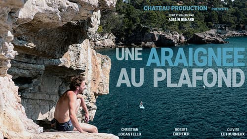 Une Araignée au Plafond Bild 1