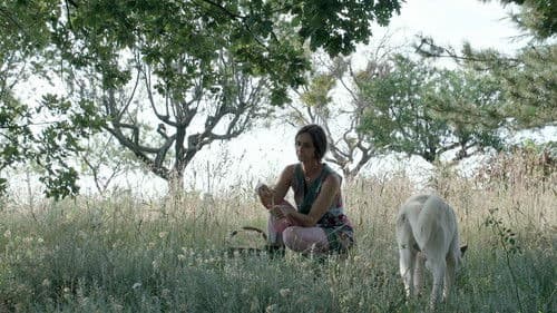 Trois oiseaux bleus Bild 8