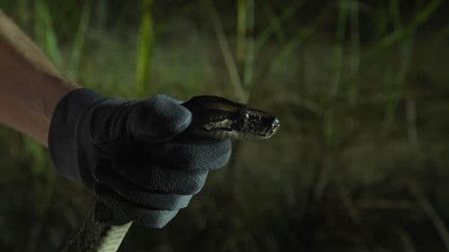 River of Grass Bild 1