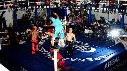 Arena Azteca Budokan Bild 1