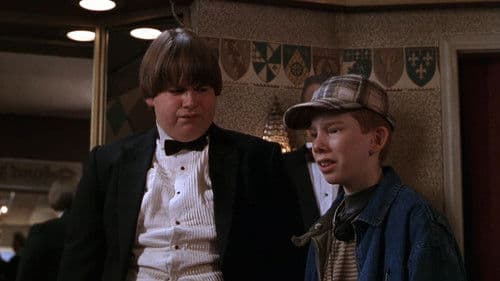 Angus - voll cool Bild 3