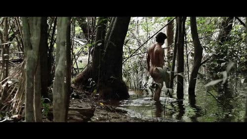 A Floresta de Jonathas - Im dunklen Grün Bild 1